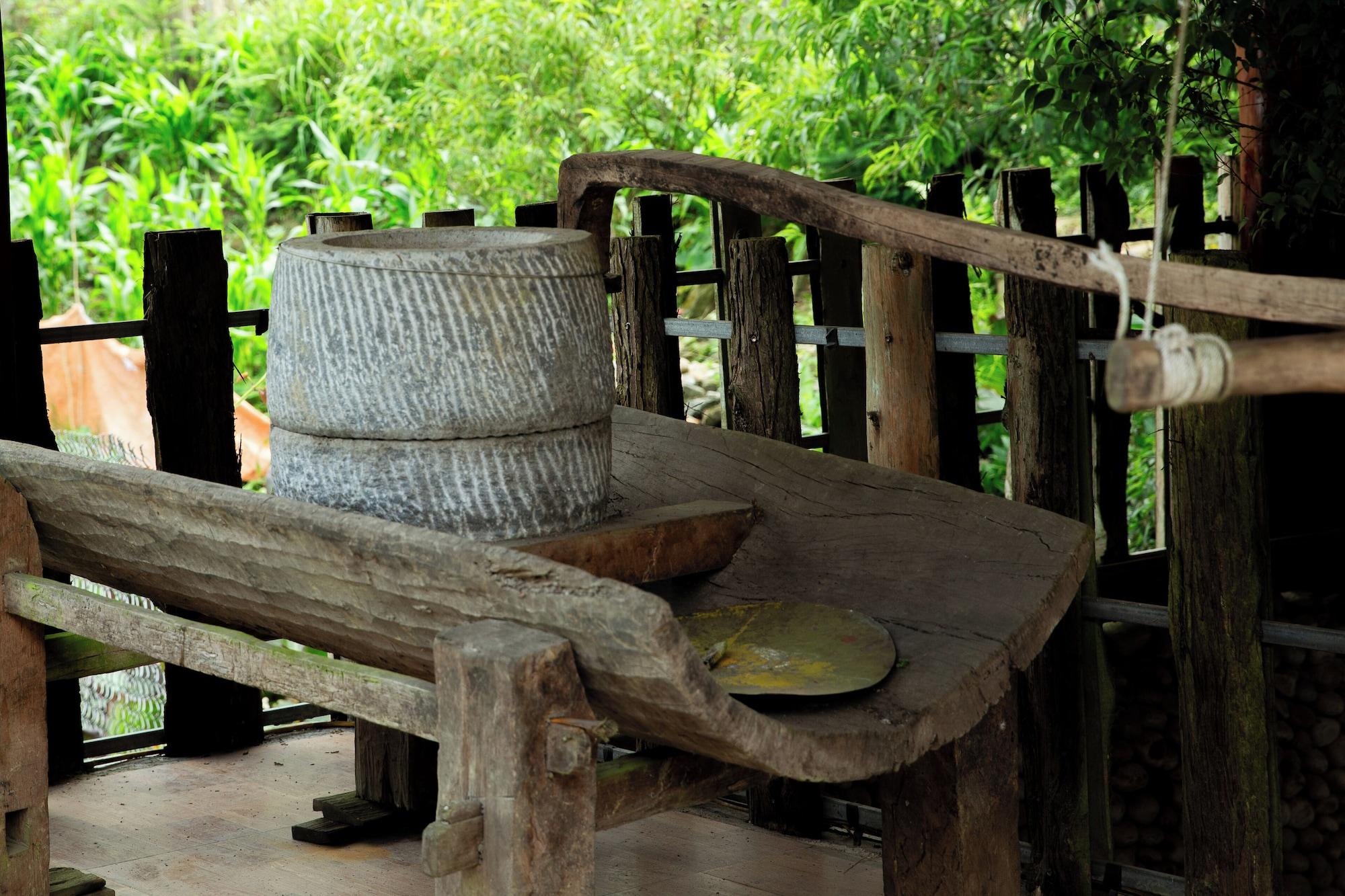 Bar/Salón Sapa Pomu Home