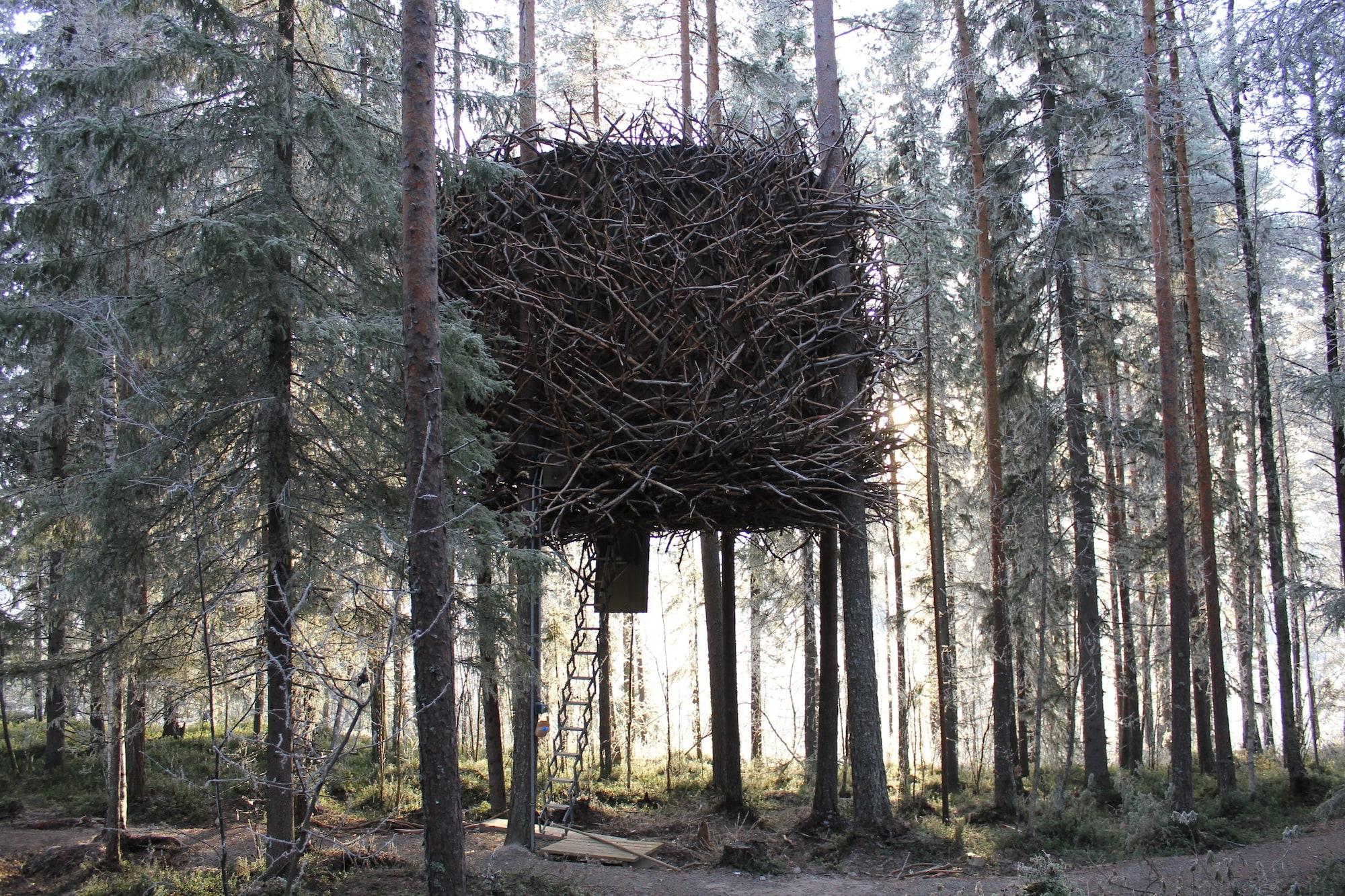 Vista Exterior Tree Hotel