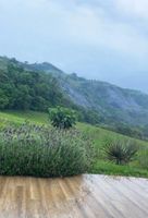 Alquiler Vacacional - Domo Geodésico - Conforto e Relaxamento na Natureza