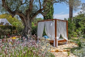 Alojamiento - Quinta Bonita Luxury Boutique Hotel