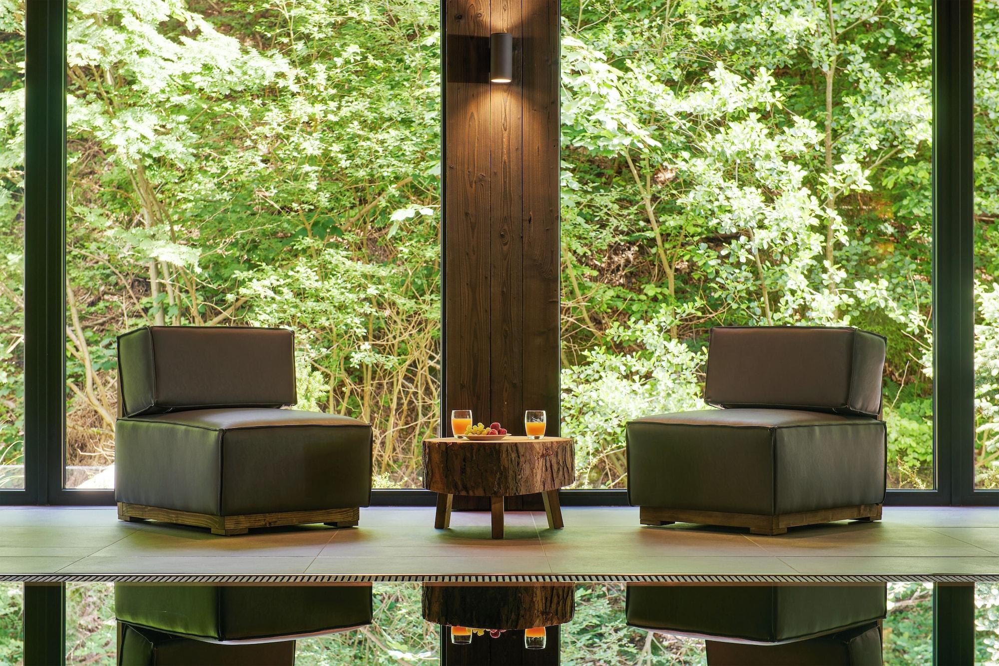 Spa Hotel Singer