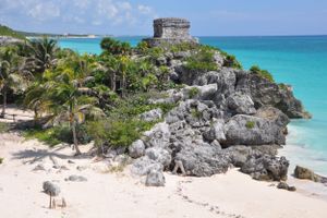 Actividad - Ruinas Mayas de Tulum y Cobá con nado en Cenote y almuerzo