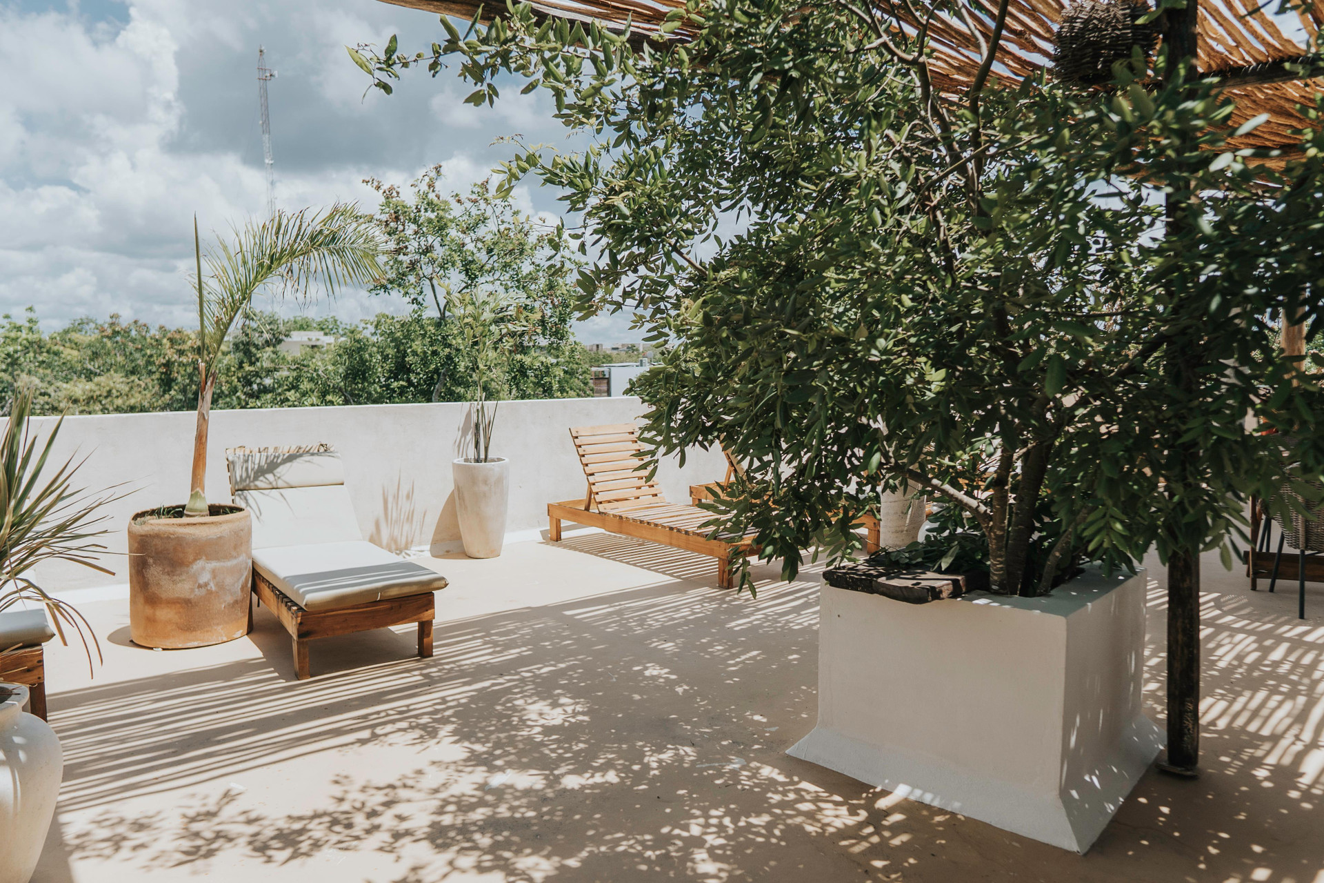 Varios Hotel Koos Tulum