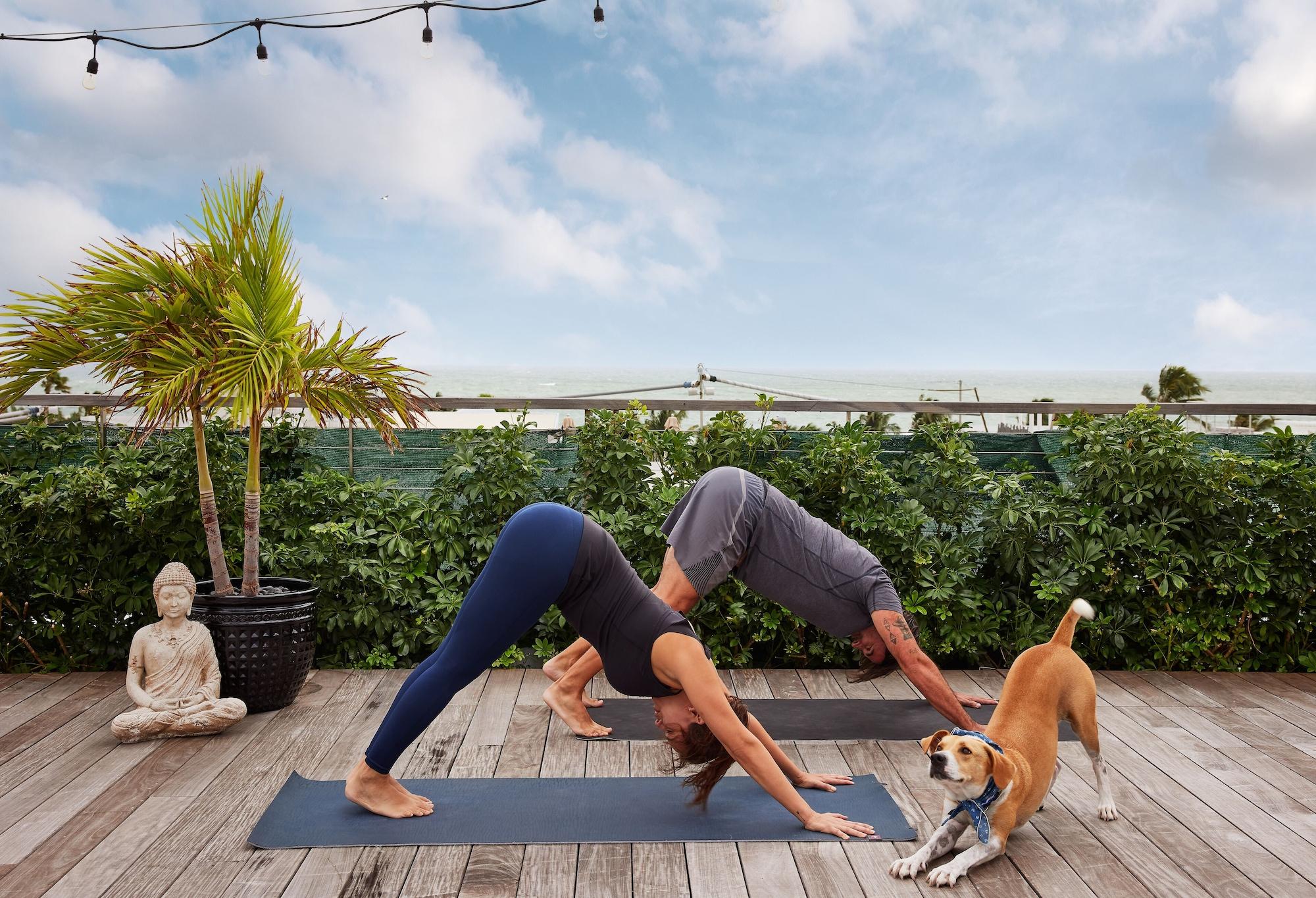Gimnasio The Betsy - South Beach