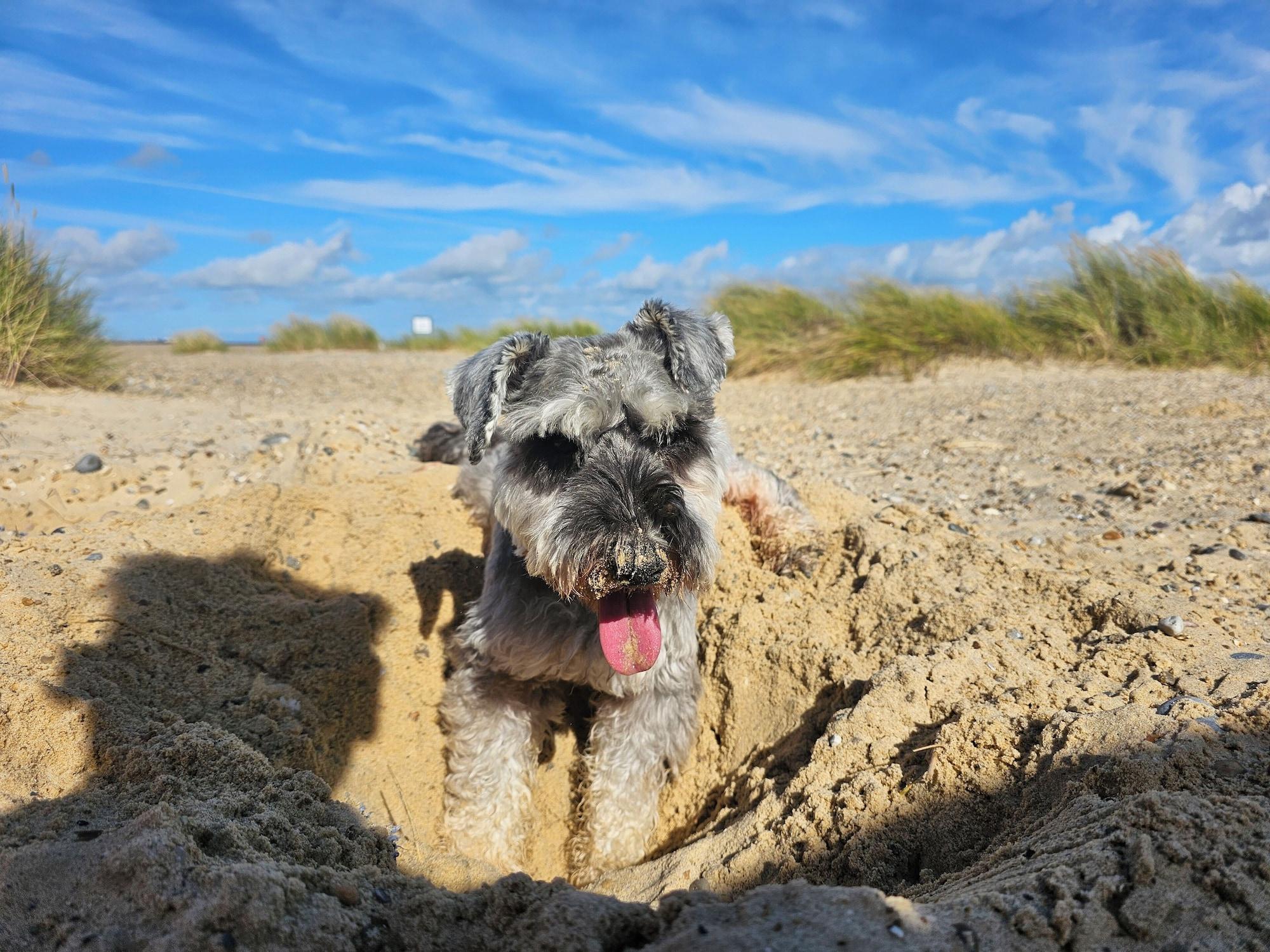 Vista Exterior The Corner House