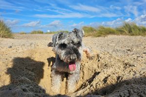 Alojamiento - The Corner House