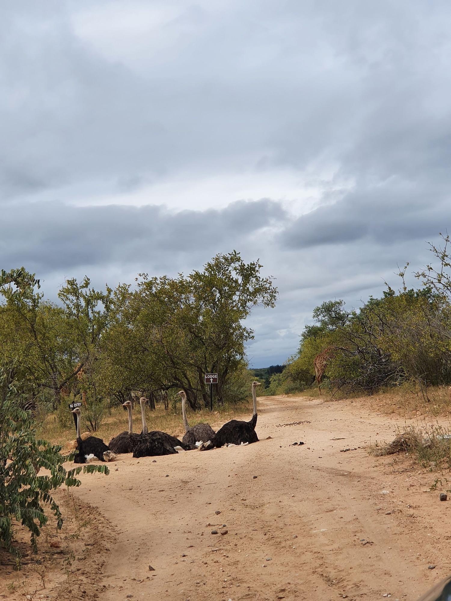 Vista Exterior Blyde River Wilderness Lodge