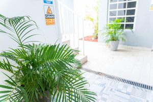 Alojamiento - The Pelican Poshtel