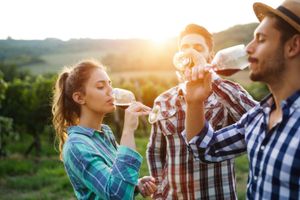 Actividad - Cata de vinos rumanos desde Bucarest