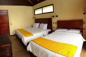 Alquiler Vacacional - Green Forest Vacations Homes