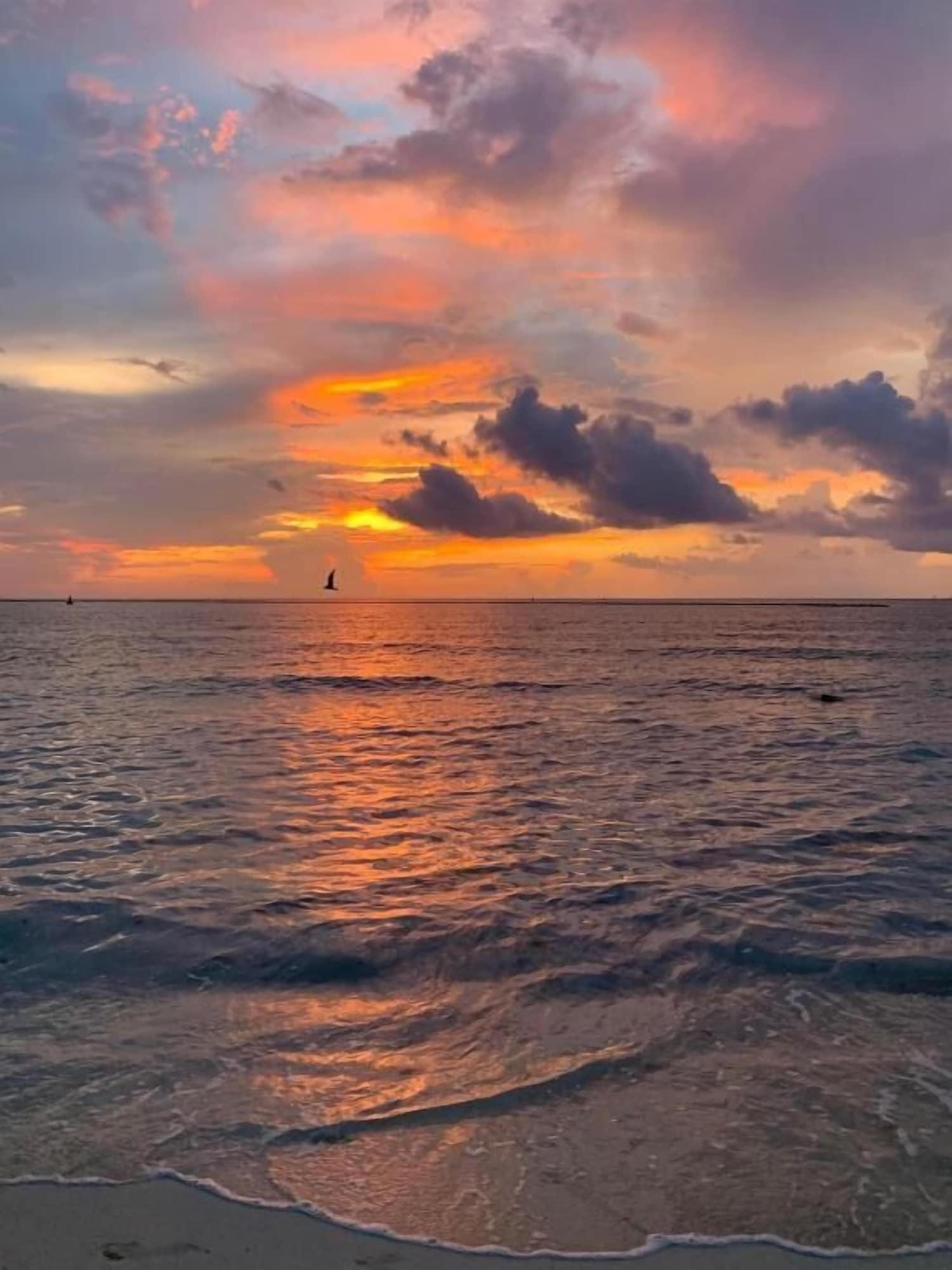 Playa Casa Calendario Azteca