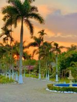 Alojamiento - Hotel Rosalinda Campestre del Llano
