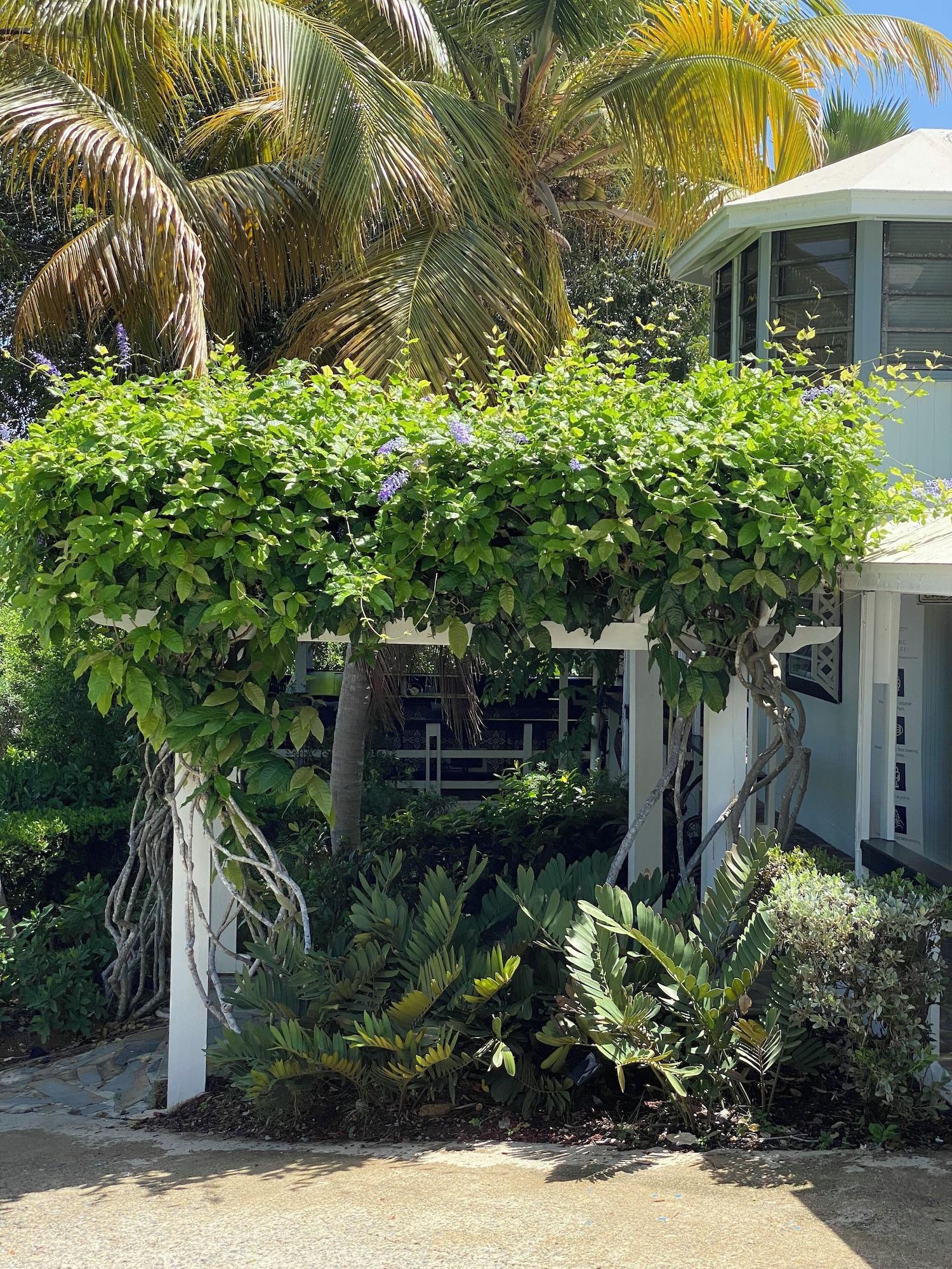 Vista Exterior Club Seabourne Boutique Hotel