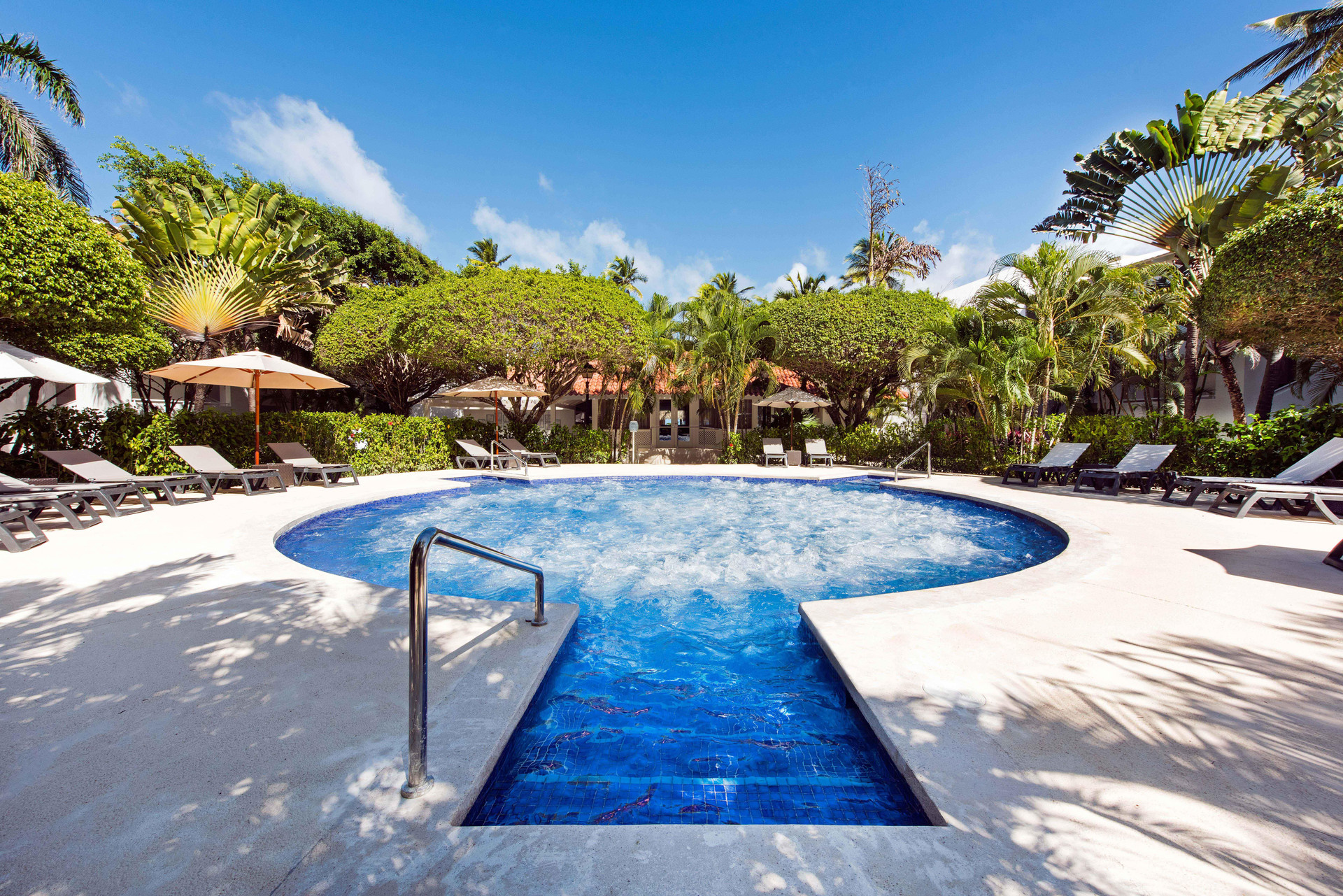 Vista Piscina Occidental Punta Cana