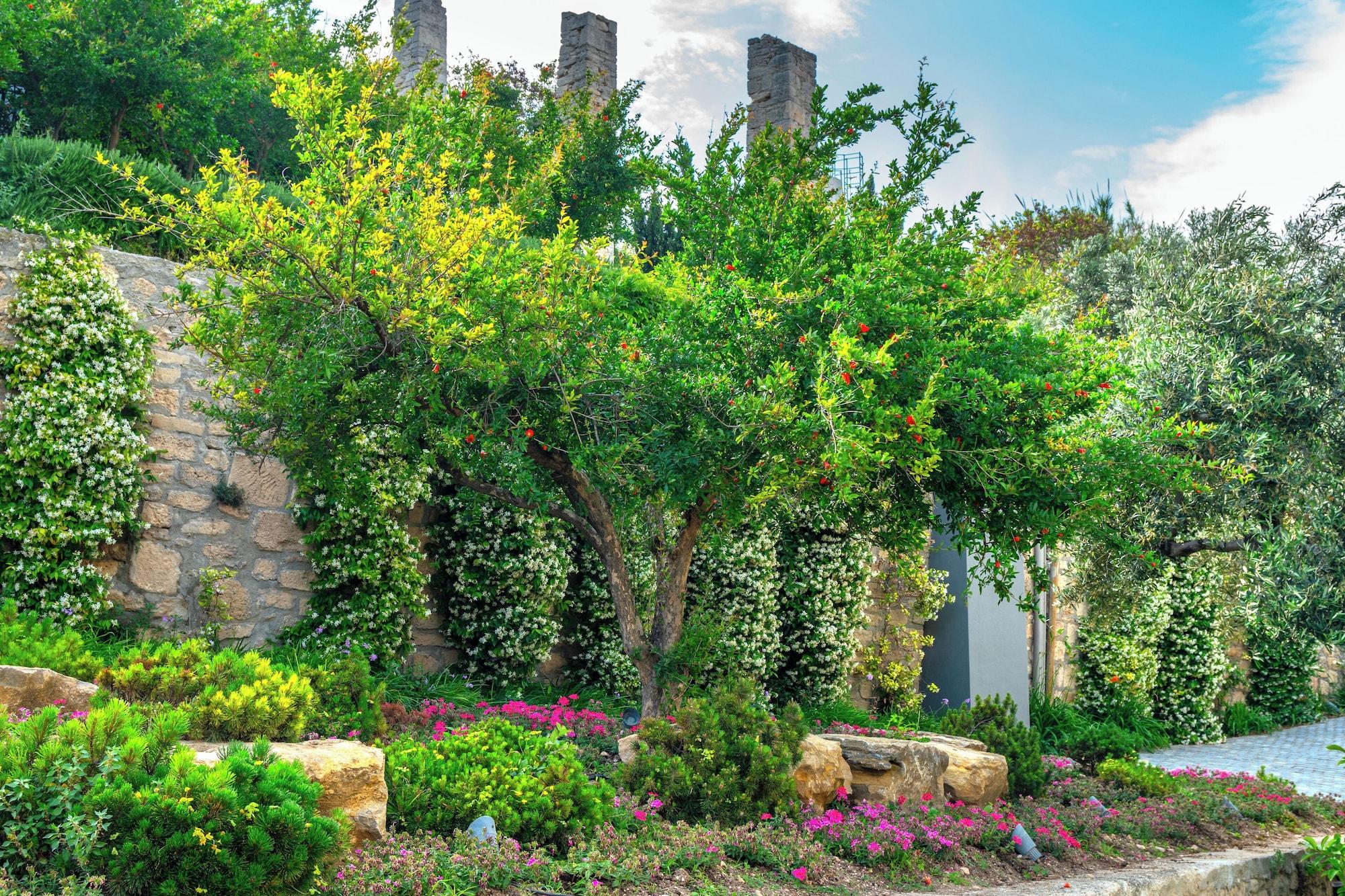 Vista Exterior Ammon Zeus Luxury Beach Hotel