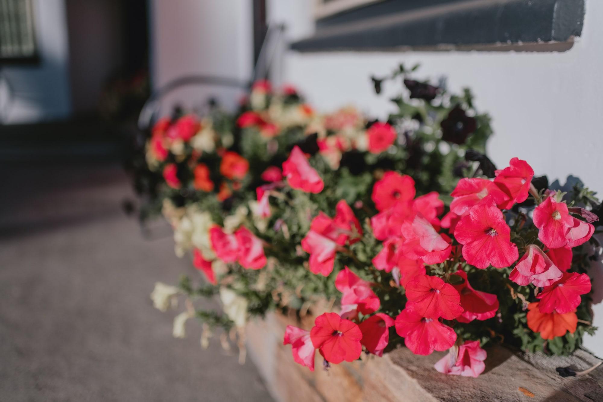 Gimnasio The Sapphire Motel