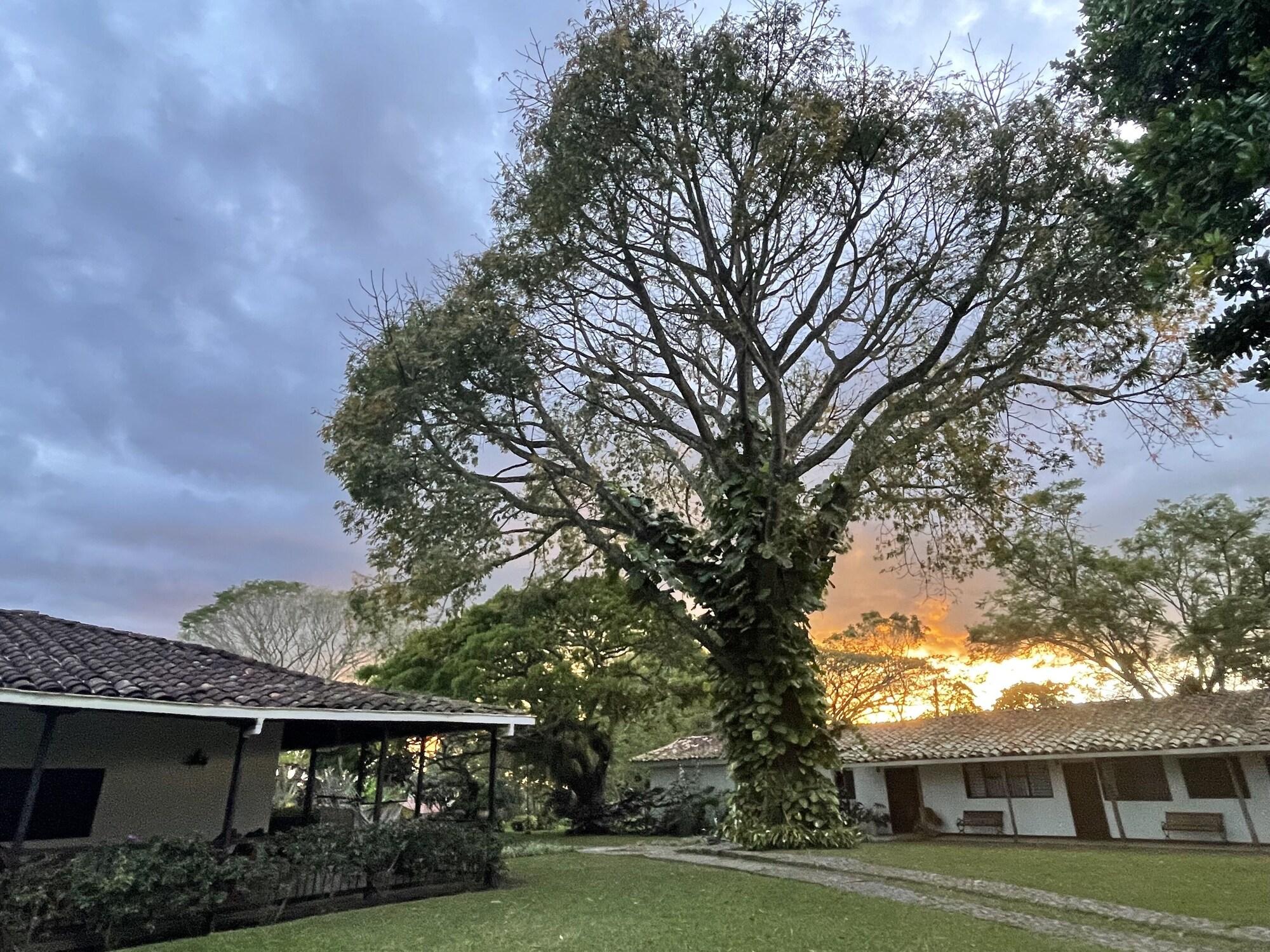 Vista Lobby MuchoSur Quimbaya