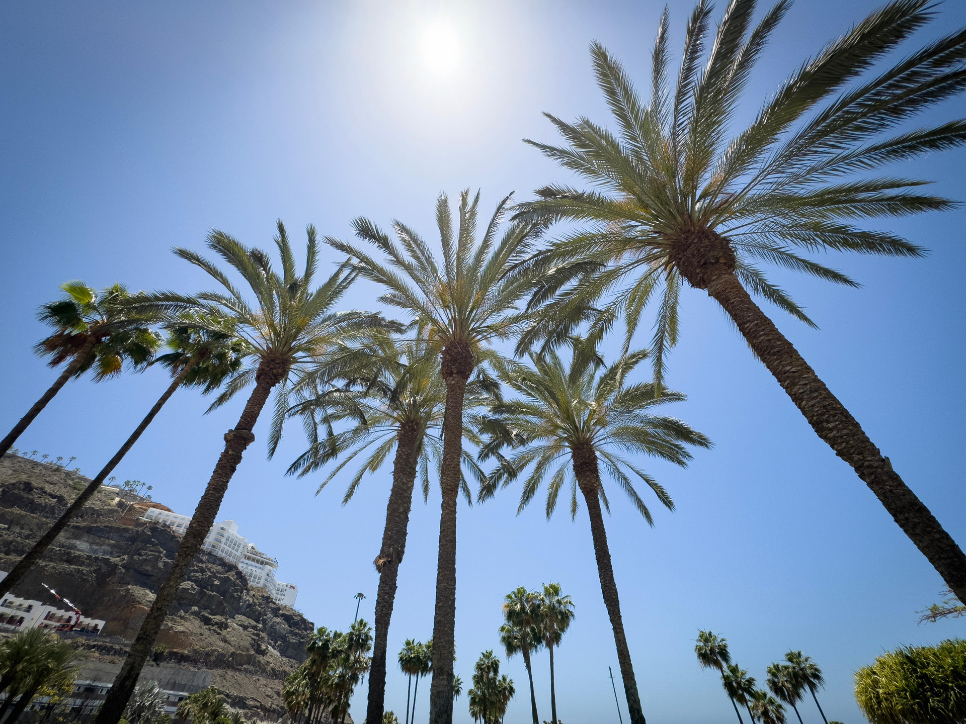 Playa Holiday Club Playa Amadores