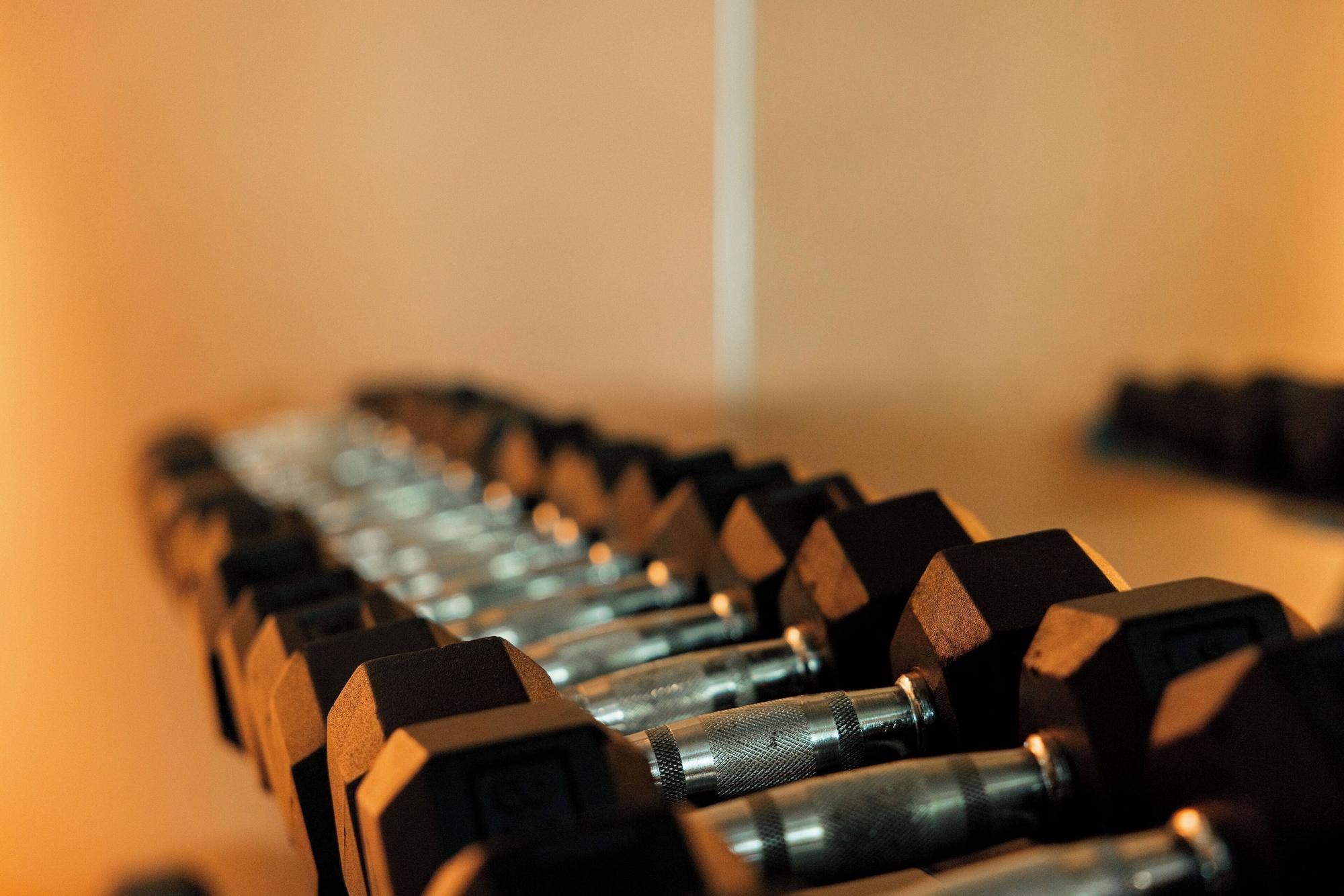 Gimnasio The Social Hub Delft