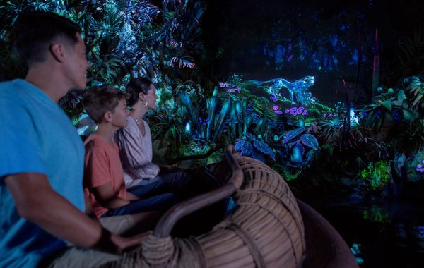 Na'vi River Journey
