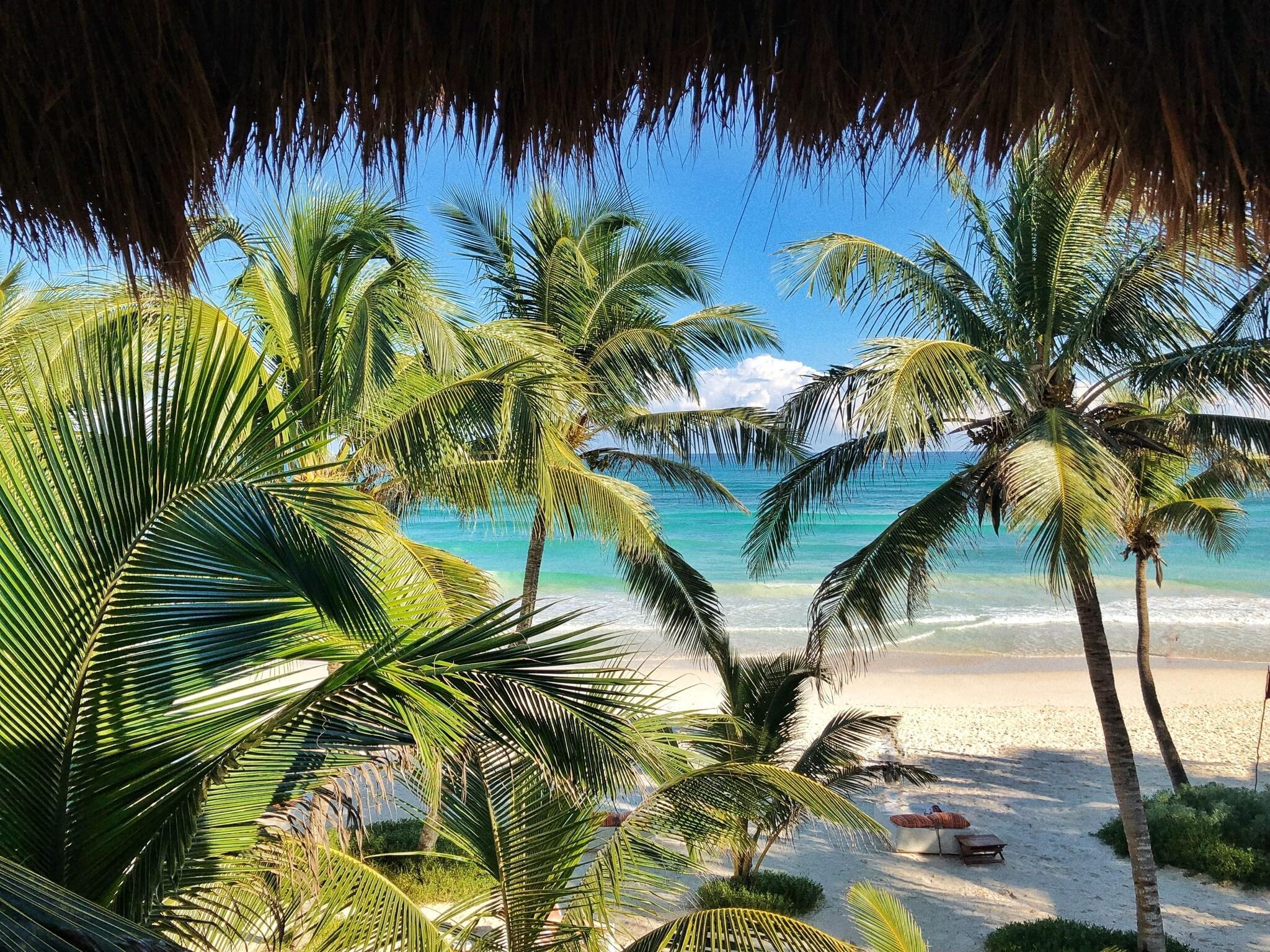 Vista Exterior The Beach Tulum