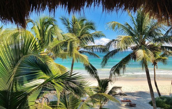 The Beach Tulum Hotel - Hoteles cerca de Playa Las Palmas en Tulum