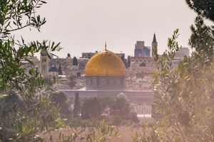 Activity - Mount of Olives Walking Tour
