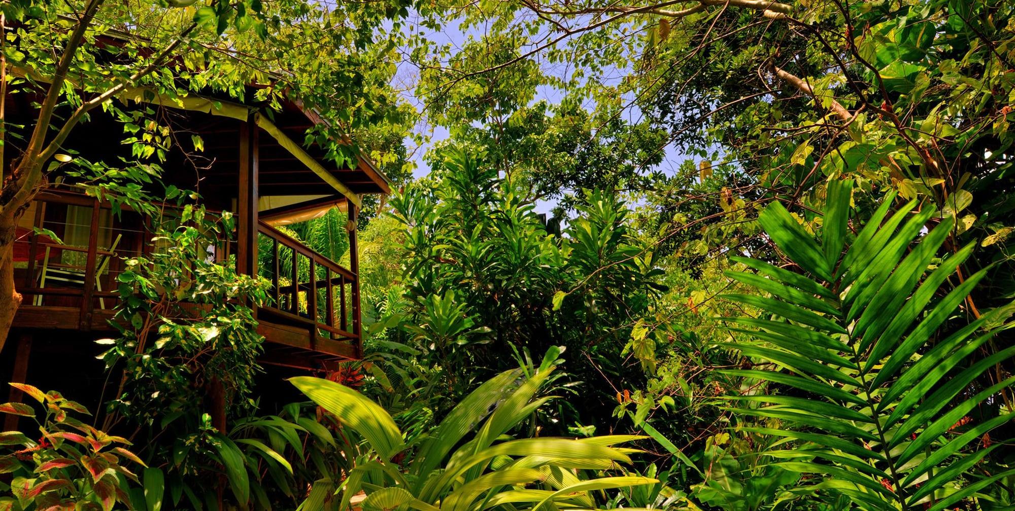 Vista Exterior Geejam