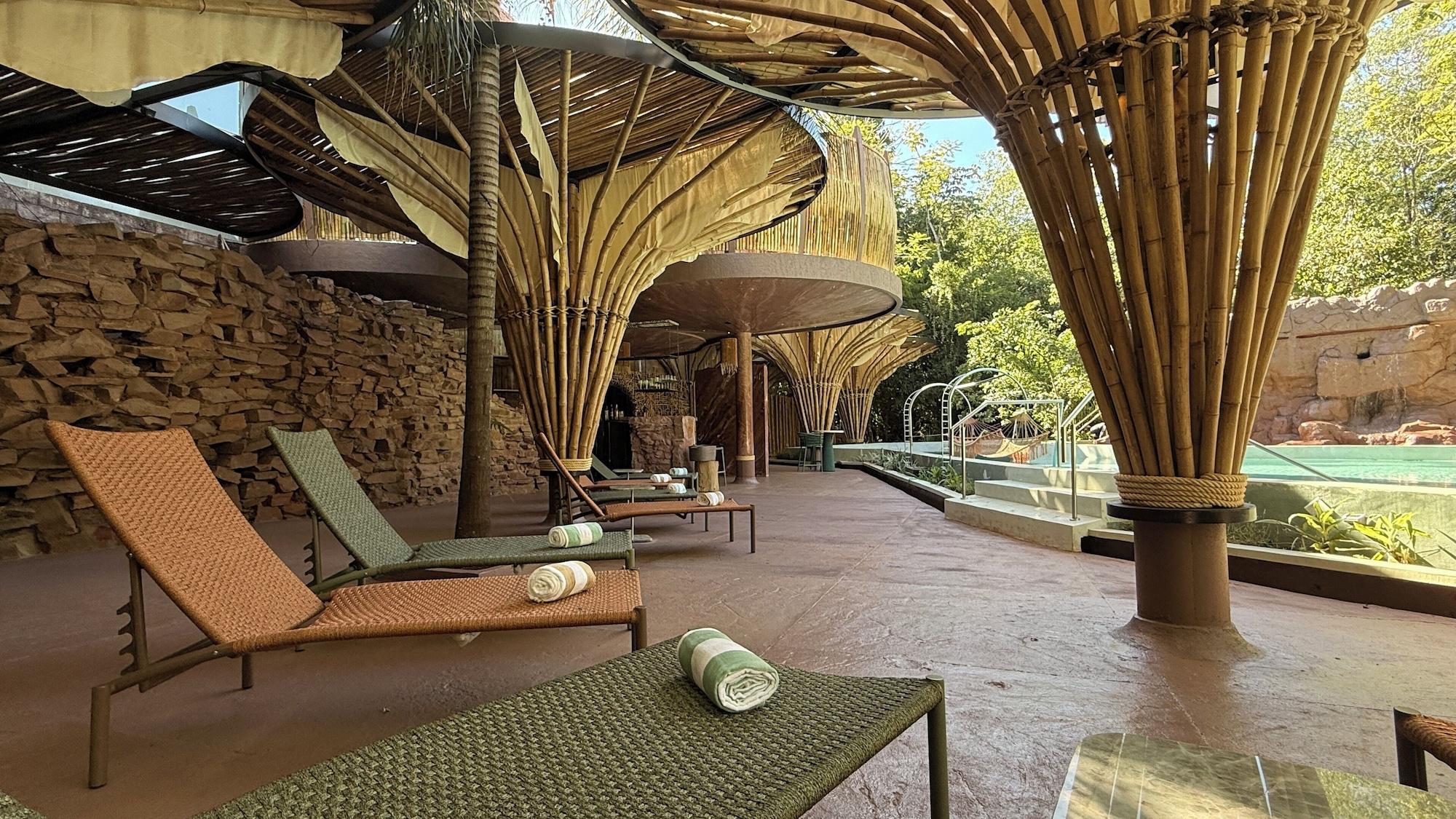 Vista Piscina Entre Arboles Iguazu, Singular Collection by Amerian