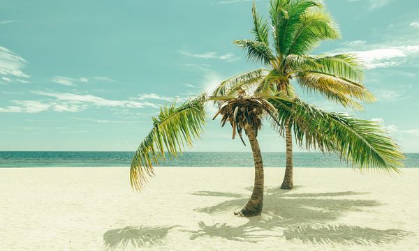 Villas Del Mar