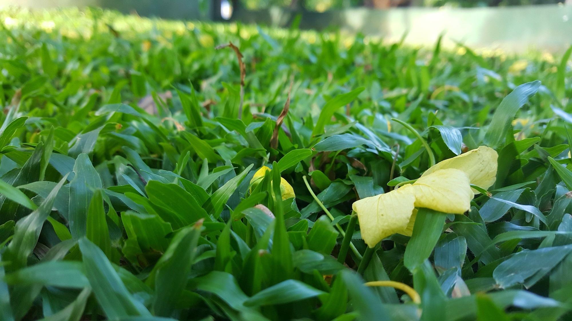 Comodidades del Alojamiento Hotel Sisilthera