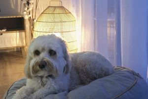 Alquiler Vacacional - 1 minute walk to Culburra Beach & Lake. ASD friendly and pet friendly.