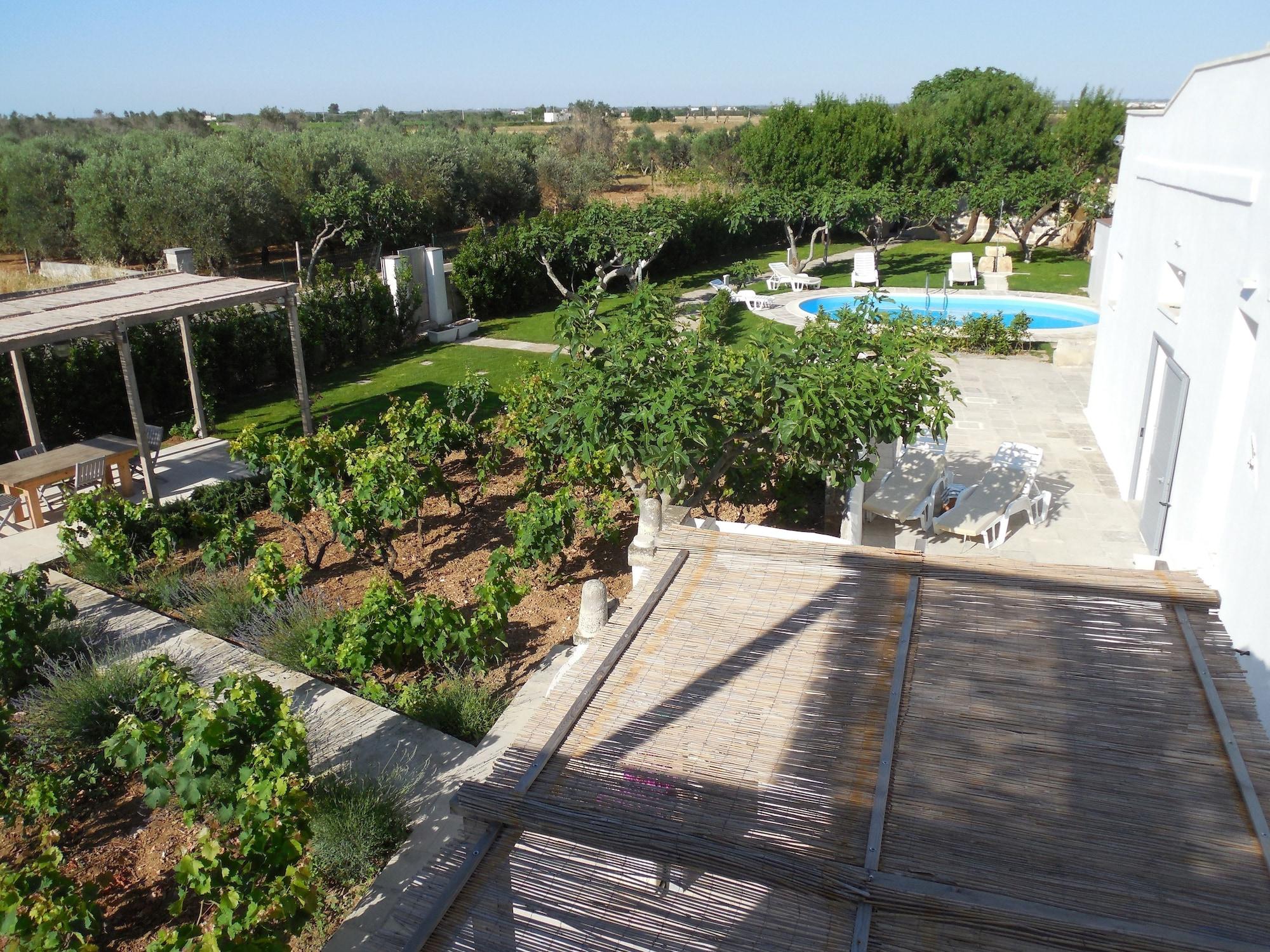 Vista Exterior Casale alle Vigne