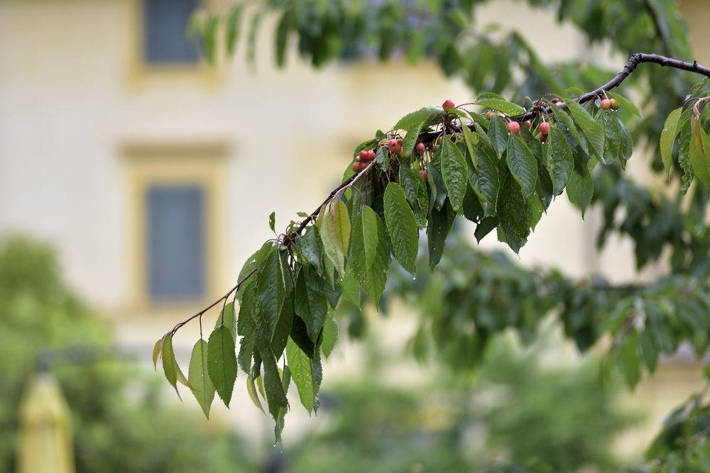 Hotel Arcobaleno Boutique Hotel