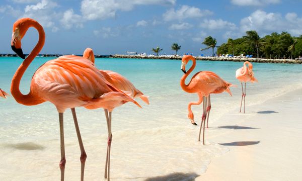 Oranjestad-West