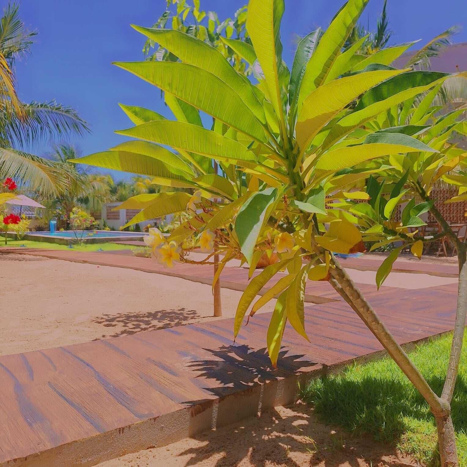 Habitación CONDOMÍNIO SHALOM BEACH
