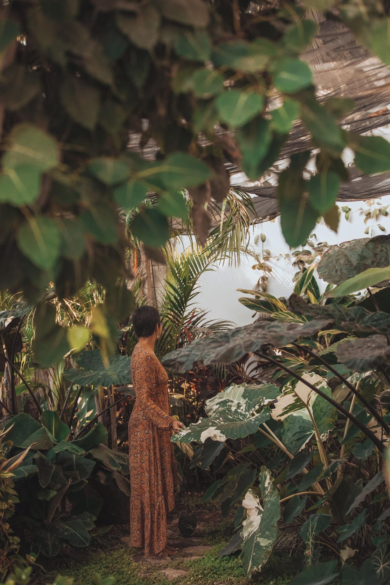 Vista Exterior Amari Sayulita Boutique Hotel
