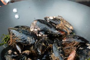 Actividad - Excursión al Canal Beagle con comida