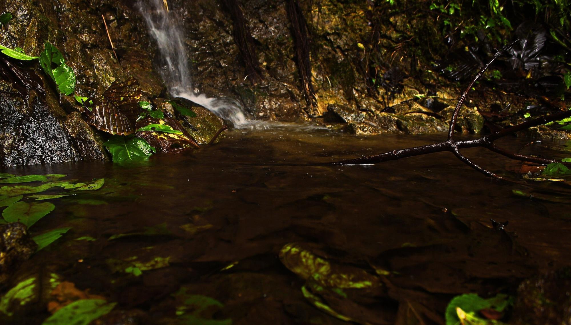 Instalaciones Recreativas Mindo Green House