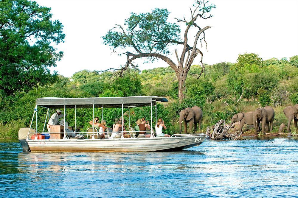 Sanctuary Chobe Chilwero by null