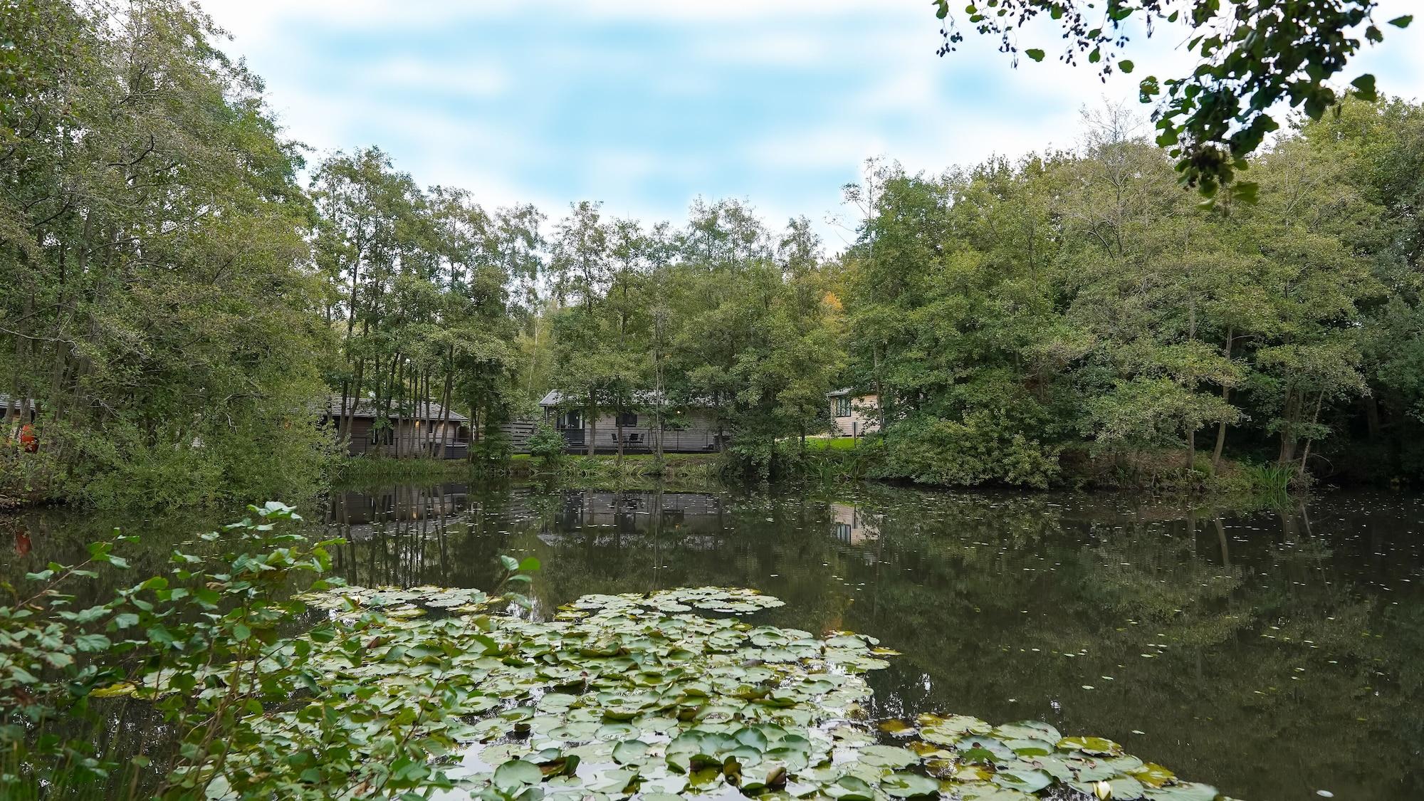 Varios Warren wood Country Park