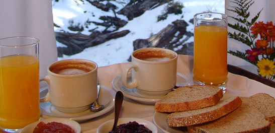 Comodidades del Alojamiento Terra Alta Hotel de Montaña