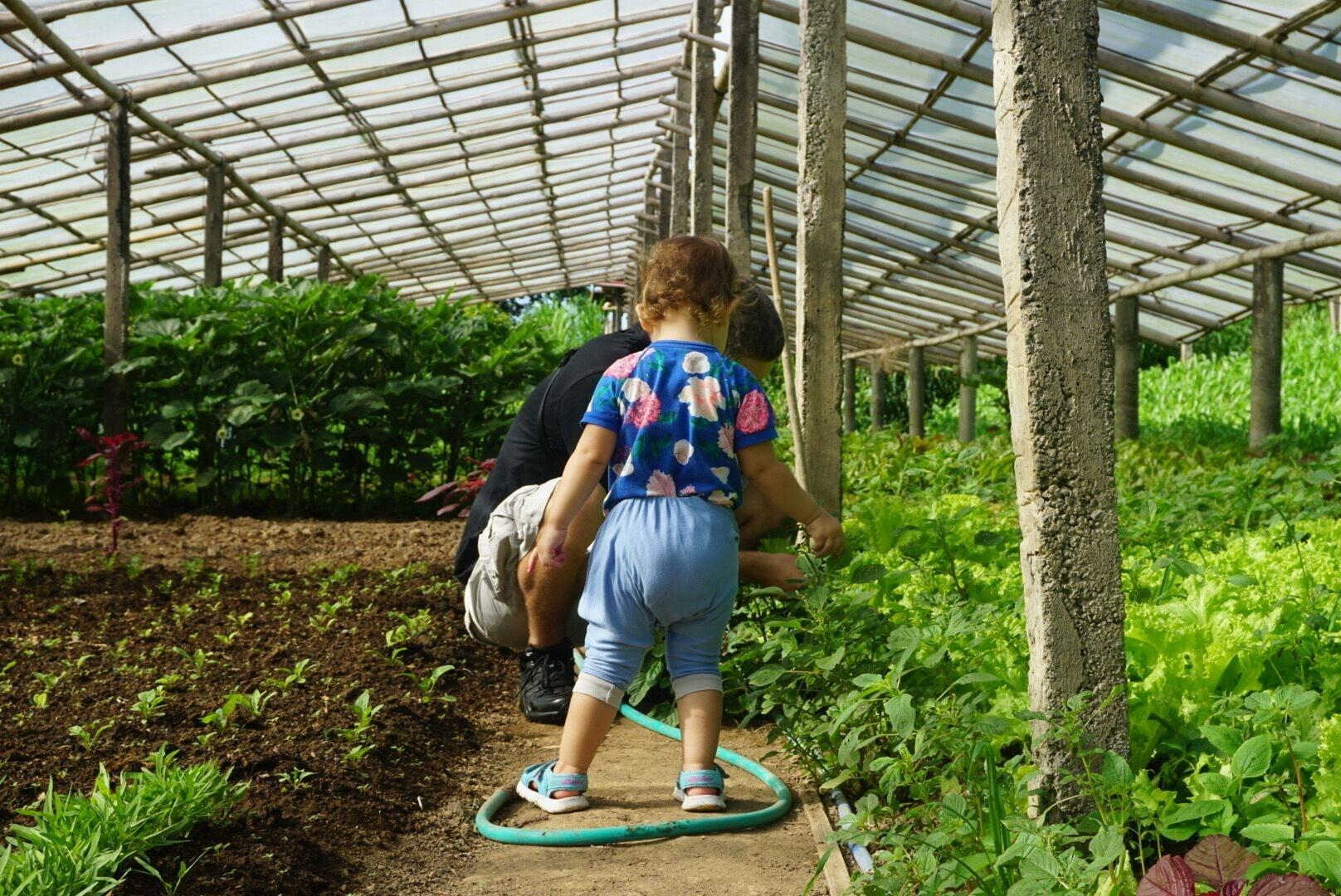 Tobogán de agua Peaceful Organic Farmhouse Retreat with Stunning Views