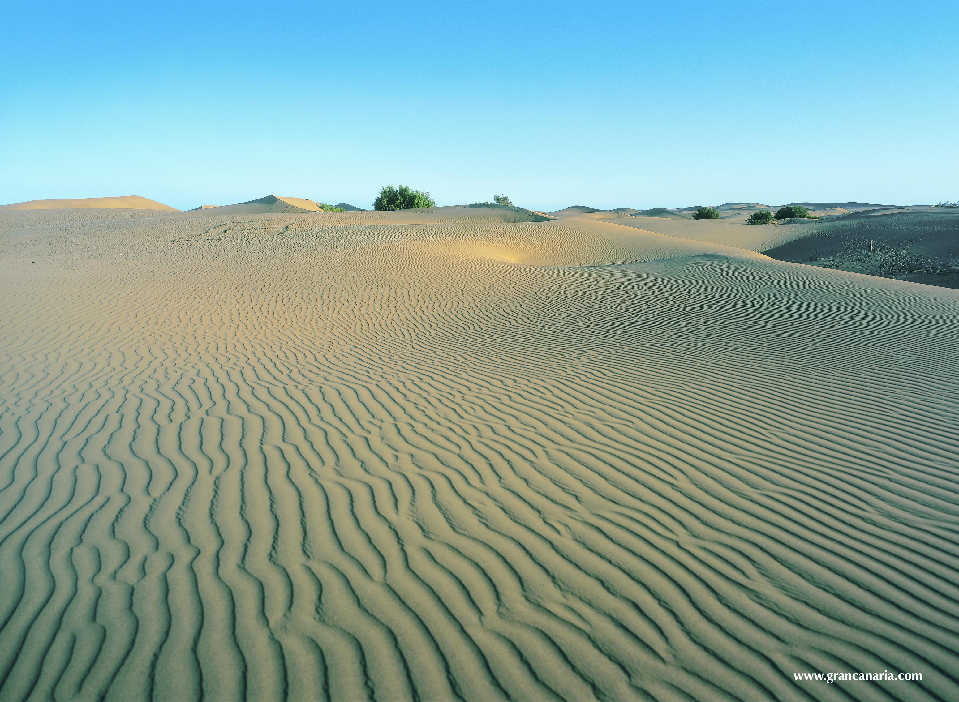 Playa Seaside Grand Hotel Residencia