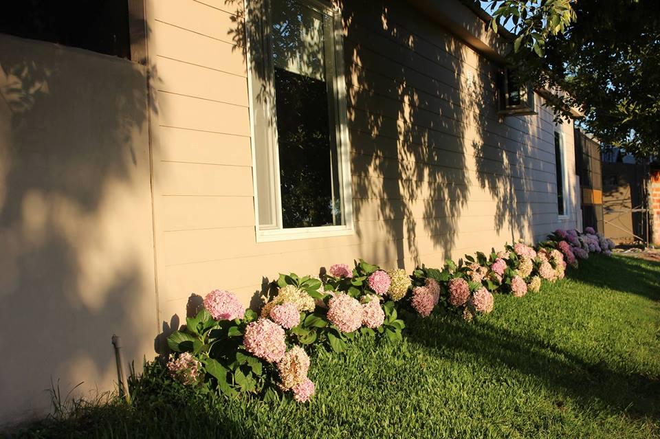 Vista Exterior Cabañas Mi Calma