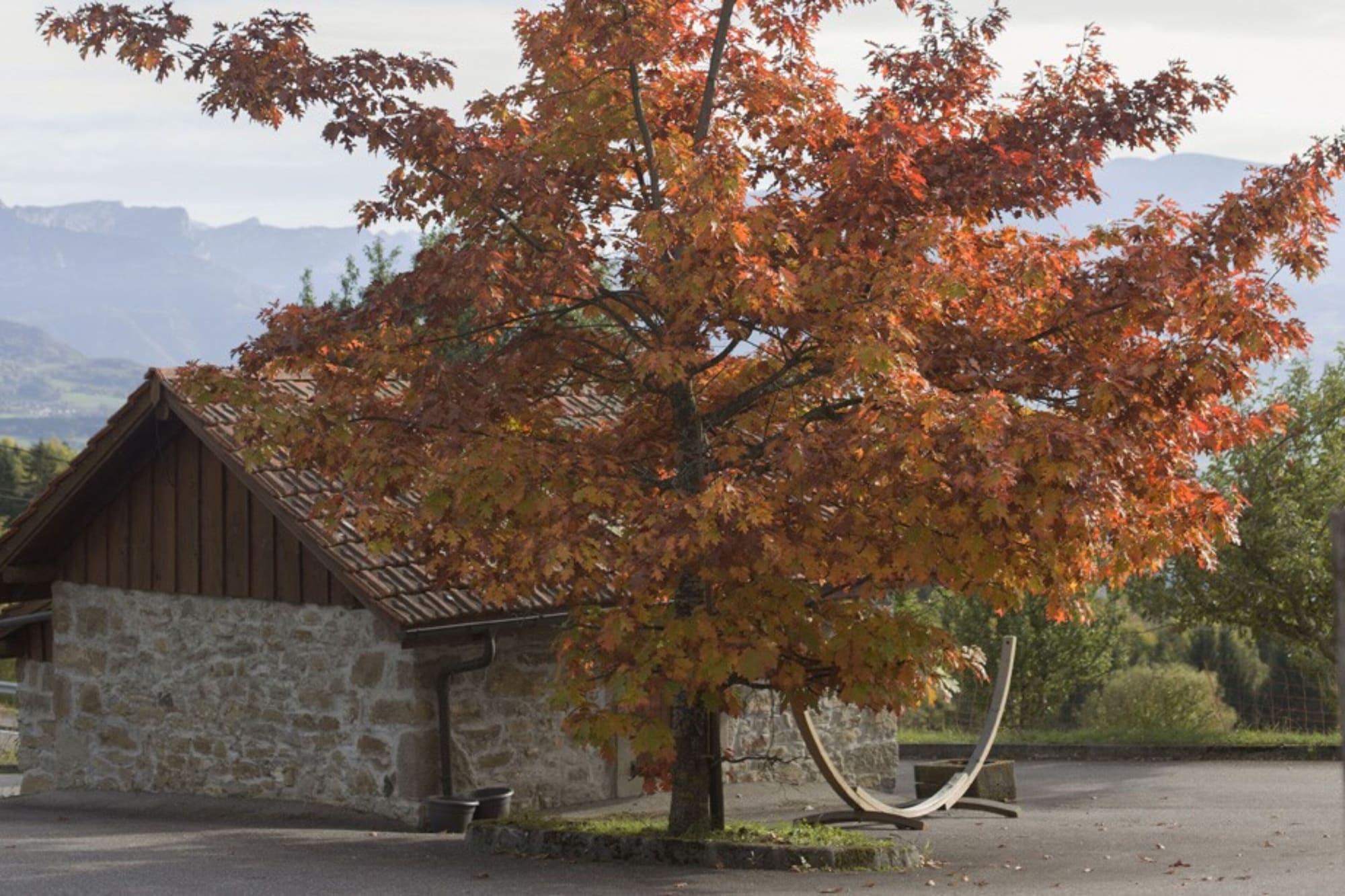 Comodidades del Alojamiento Le Bonheur dans le Pré