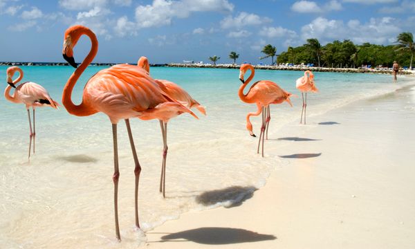 Oranjestad-West