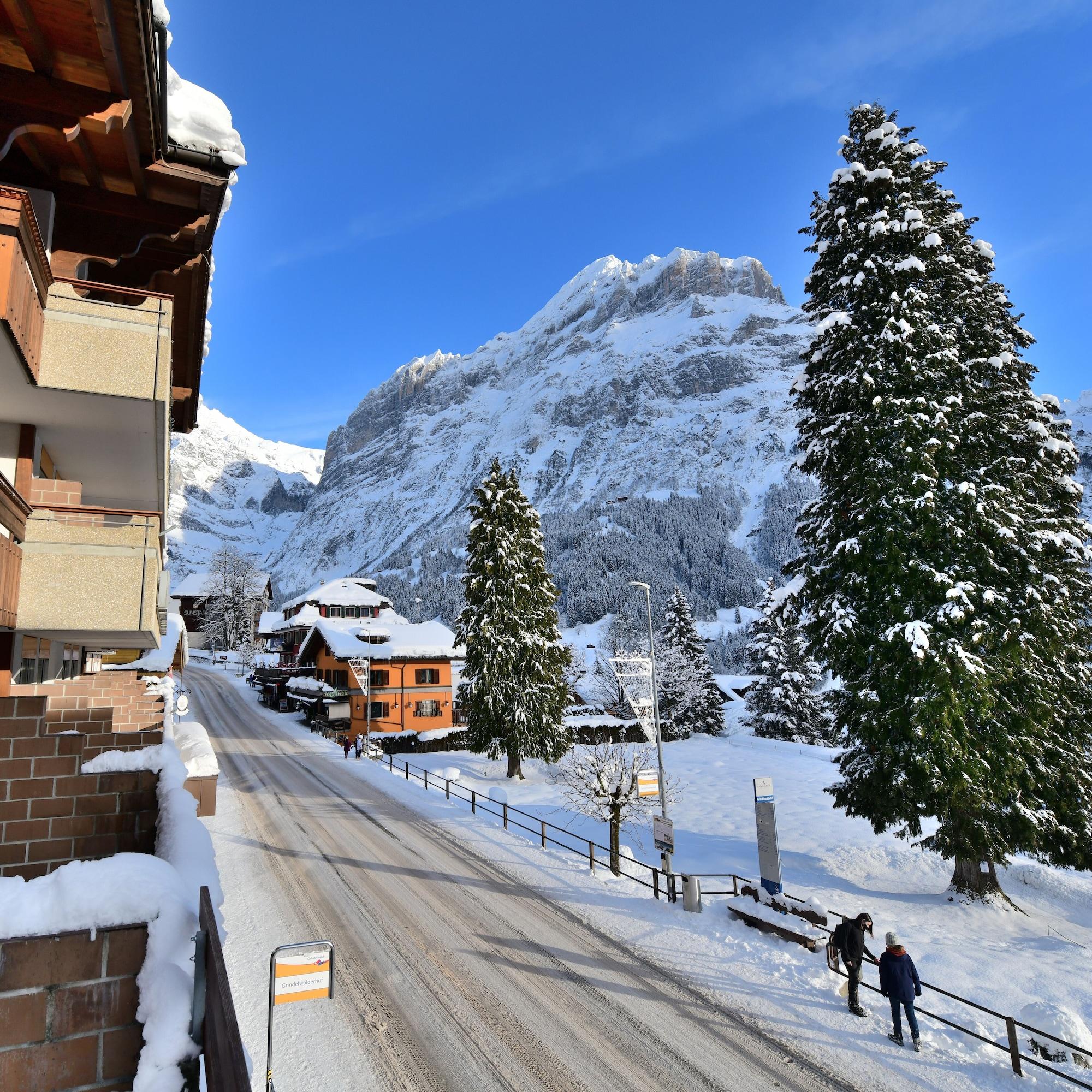 Vista Exterior Grindelwalderhof