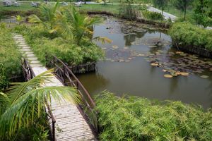 Alojamiento - Hotel Sonar Bangla Sundarban