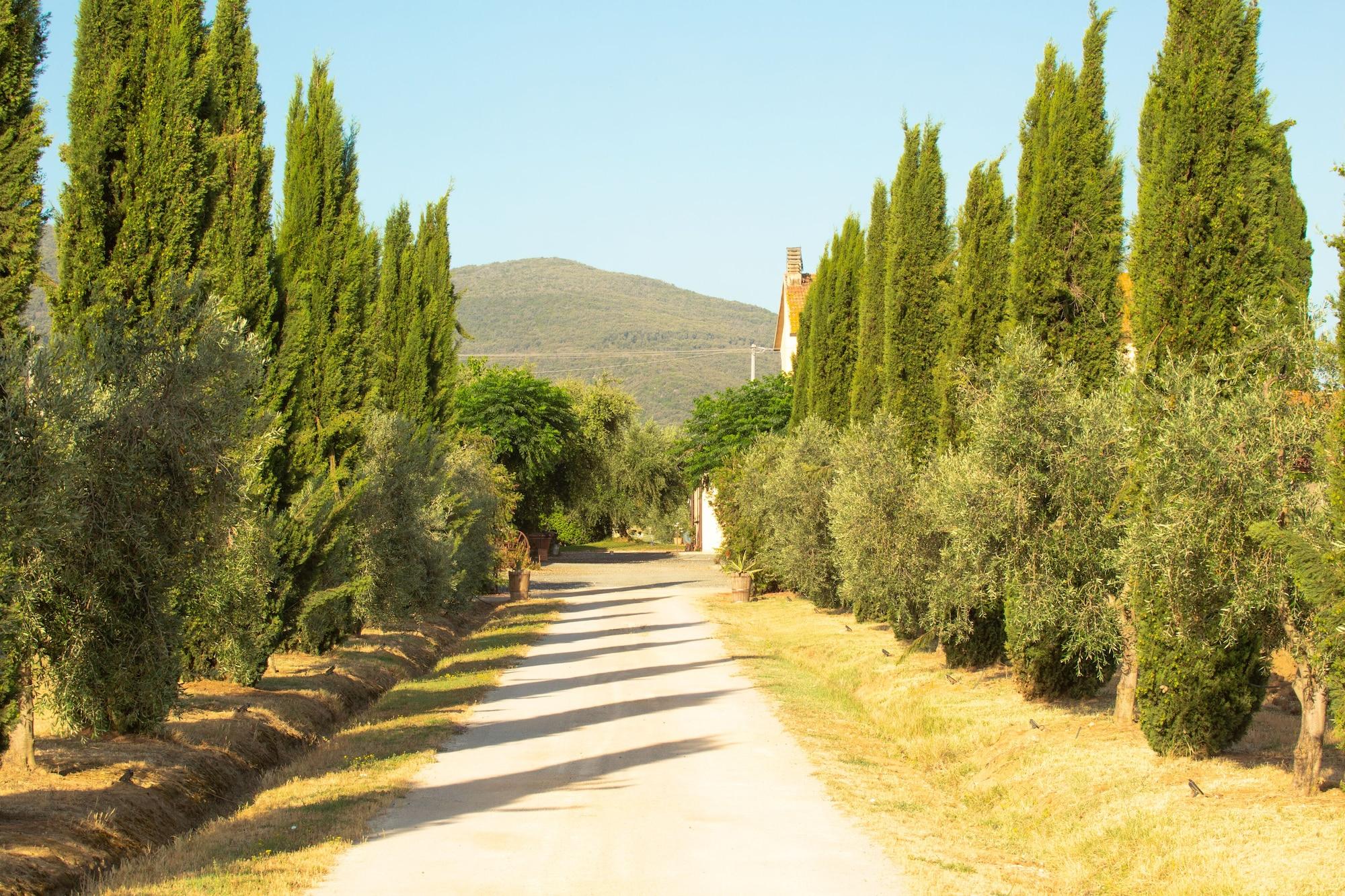 Vista Exterior Agriturismo Al Vermigliano